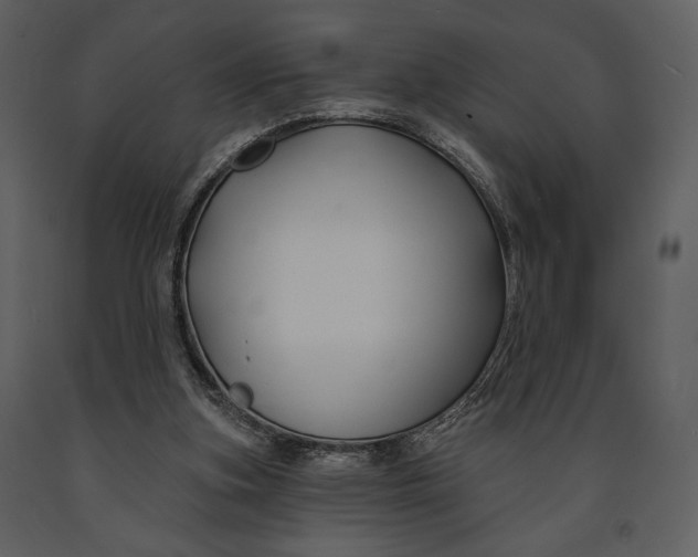 X0000090950155200708241137