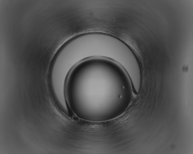 X0000090950156200708241137