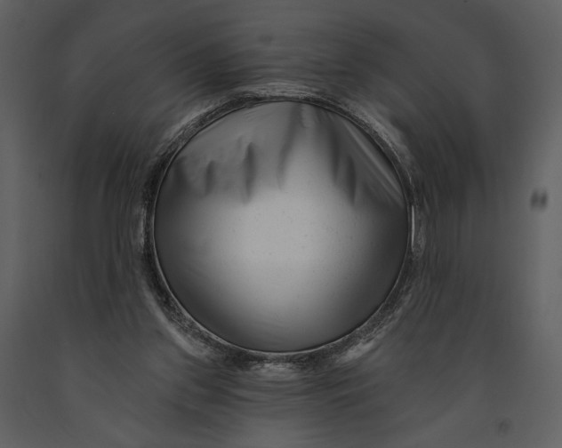 X0000090950157200708241137