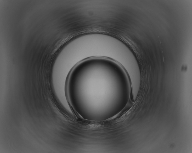 X0000090950158200708241137