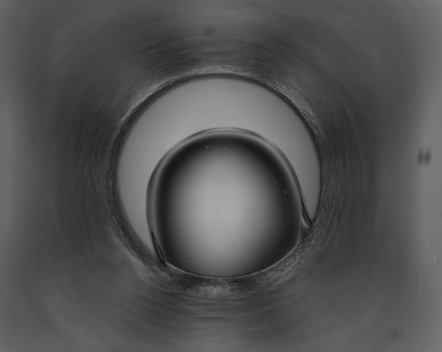 X0000090950160200708241137