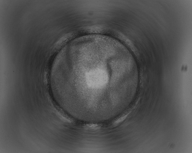 X0000090950161200708241137