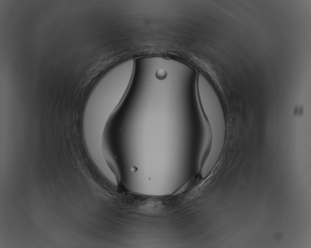 X0000090950162200708241137