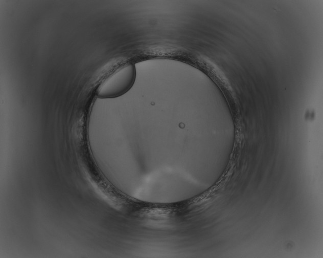 X0000090950163200708241137