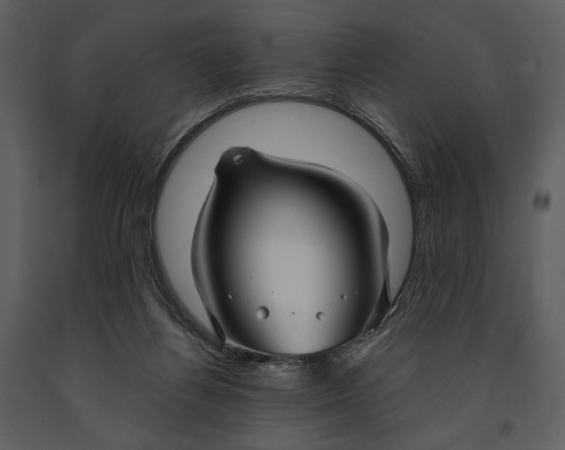 X0000090950164200708241137
