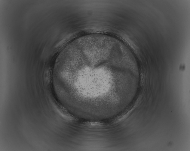 X0000090950165200708241137