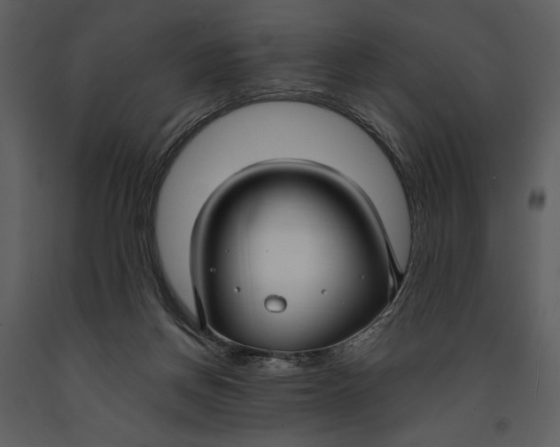 X0000090950166200708241137