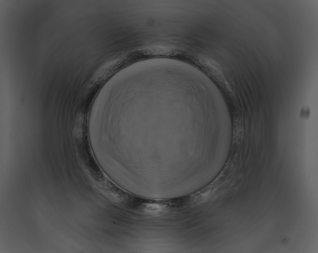 X0000090950167200708241137