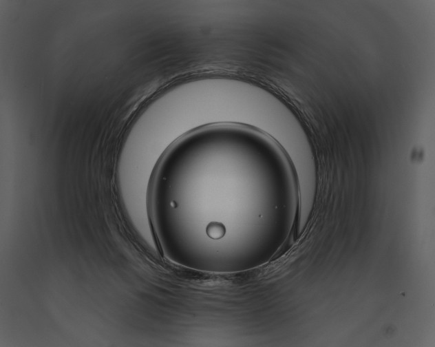 X0000090950168200708241137