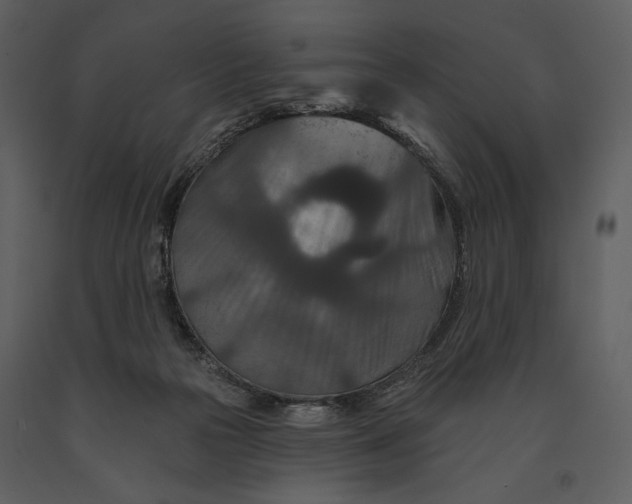 X0000090950169200708241137