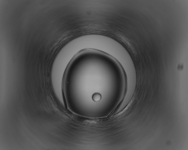 X0000090950170200708241137