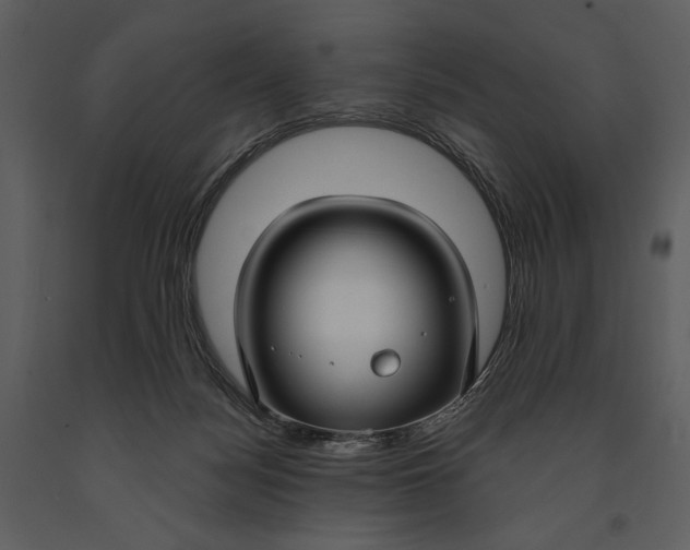 X0000090950172200708241137