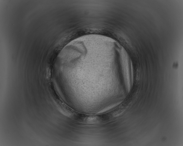 X0000090950173200708241137