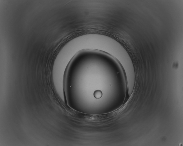 X0000090950174200708241137