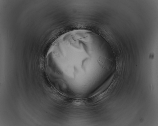 X0000090950175200708241137