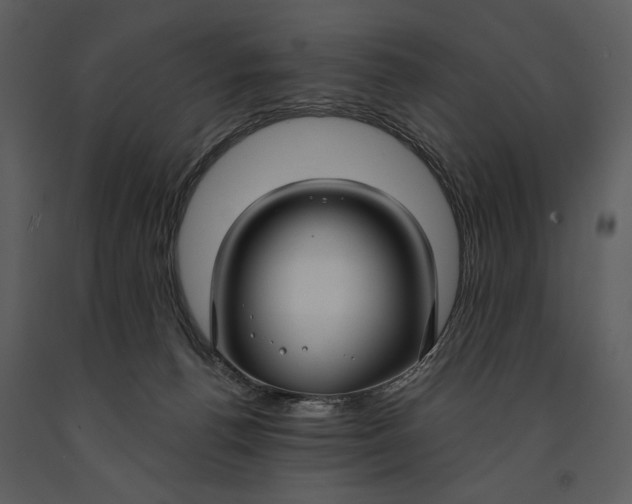 X0000090950176200708241137