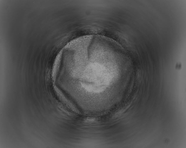X0000090950177200708241137