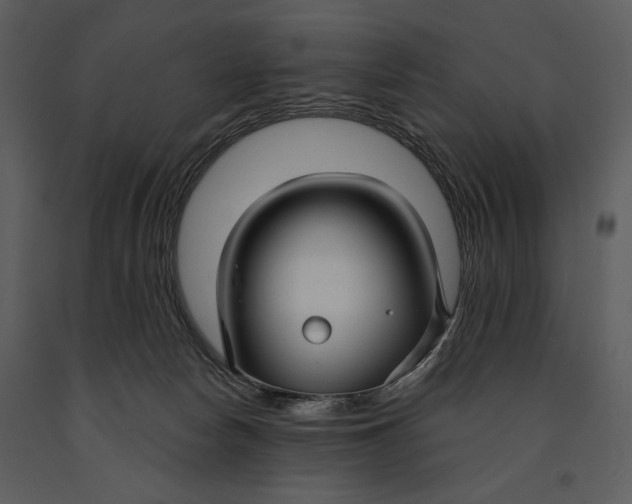 X0000090950178200708241138