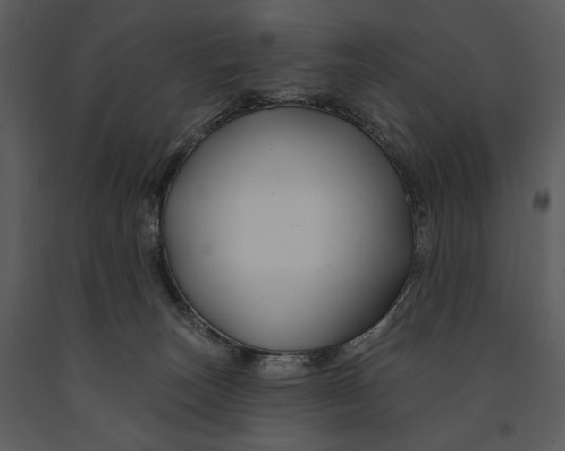 X0000090950179200708241138