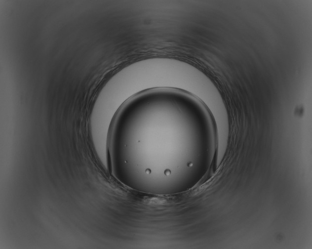 X0000090950180200708241138