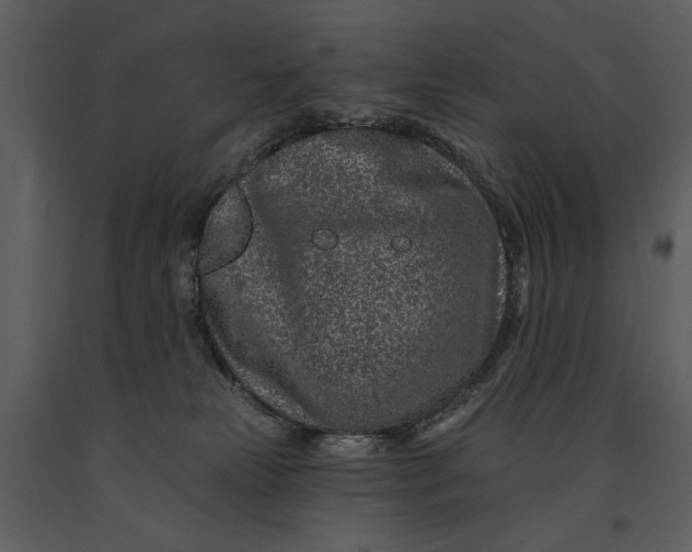 X0000090950181200708241138