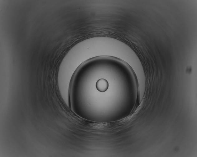 X0000090950182200708241138