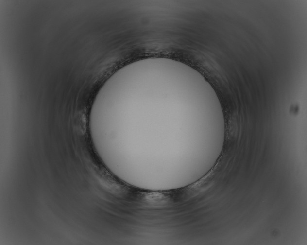 X0000090950183200708241138