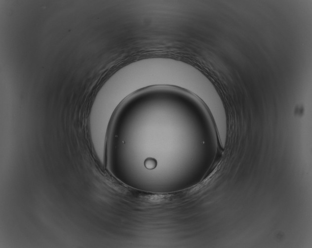 X0000090950184200708241138