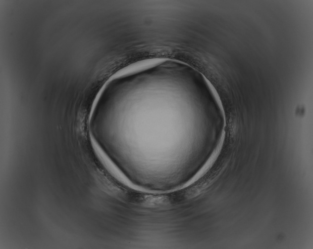 X0000090950185200708241138