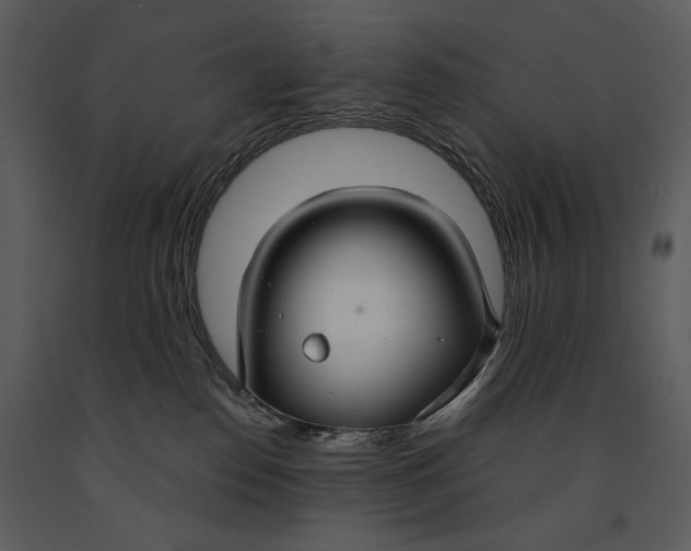 X0000090950186200708241138