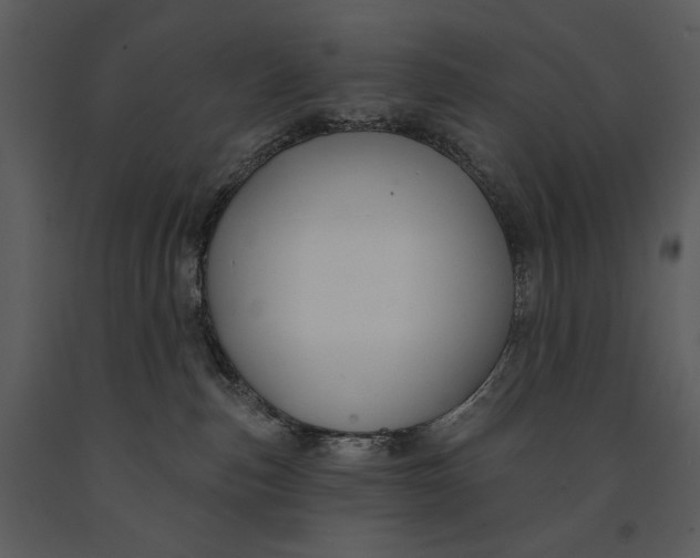 X0000090950187200708241138