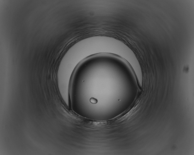 X0000090950188200708241138