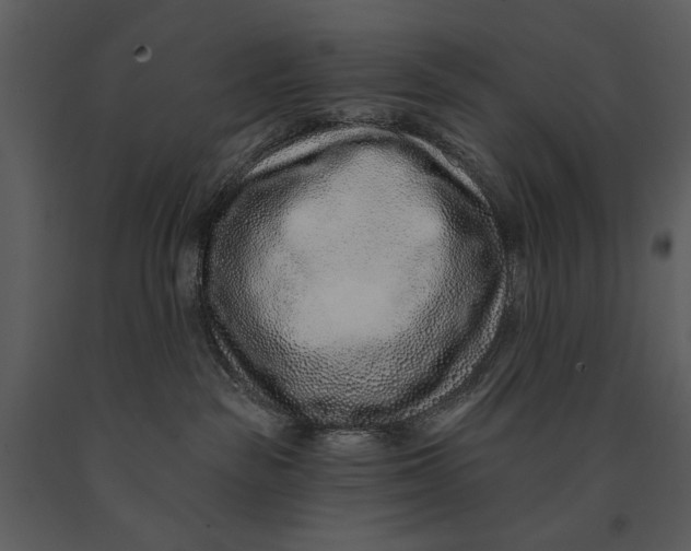 X0000090950189200708241138