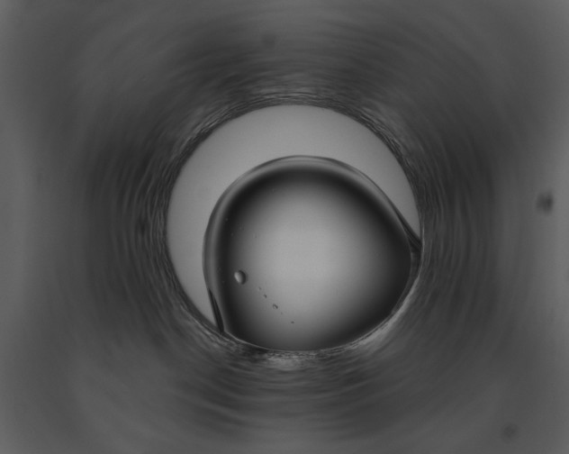 X0000090950190200708241138
