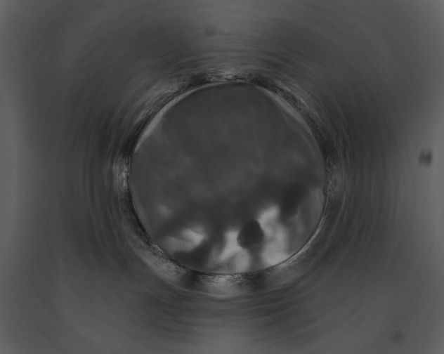 X0000090950191200708241138