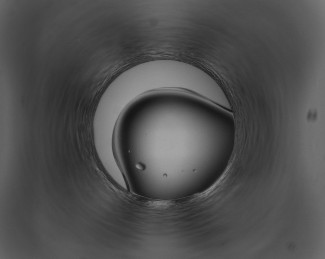 X0000090950192200708241138
