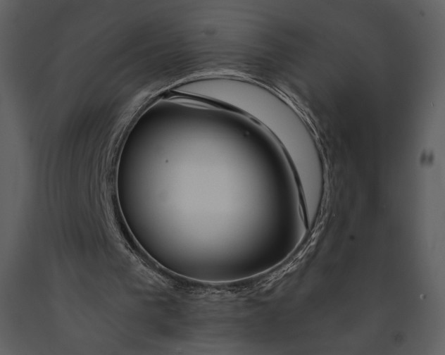 X0000090950193200708241137
