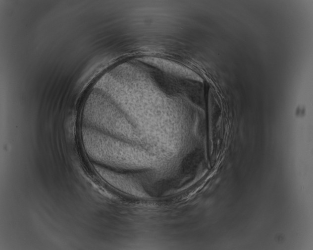 X0000090950194200708241137