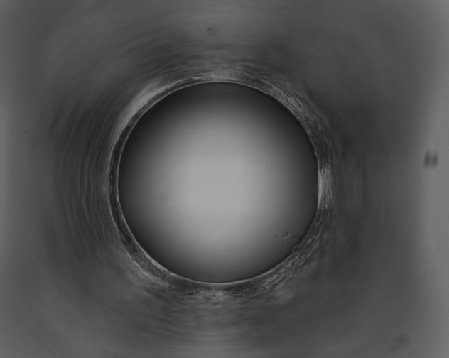 X0000090950195200708241137