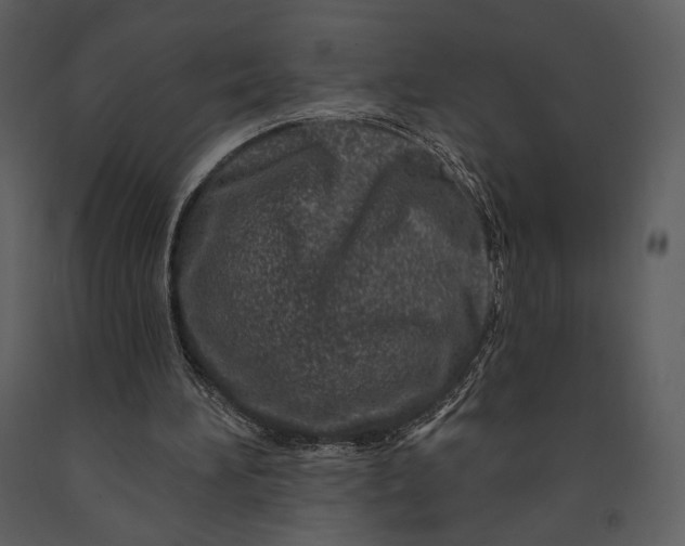 X0000090950196200708241137