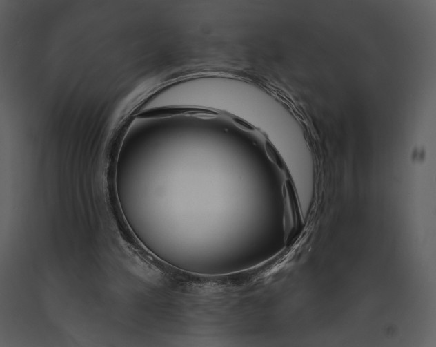 X0000090950197200708241137