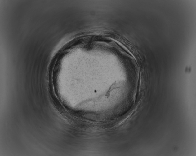 X0000090950198200708241137