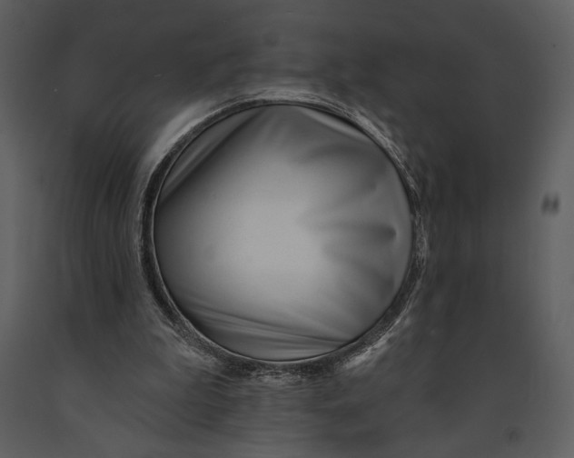 X0000090950199200708241137