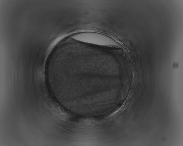 X0000090950200200708241137