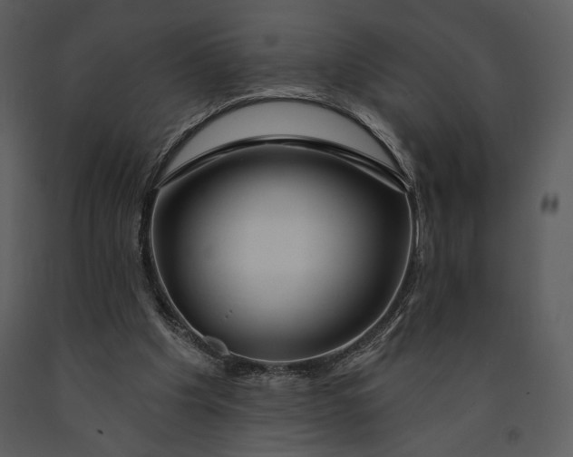 X0000090950201200708241137