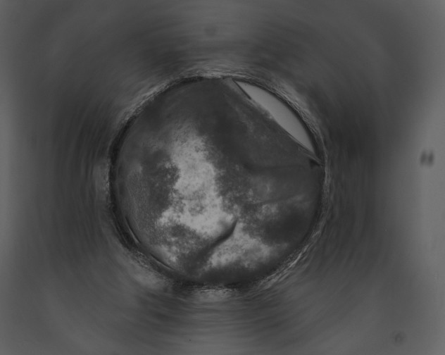 X0000090950202200708241137