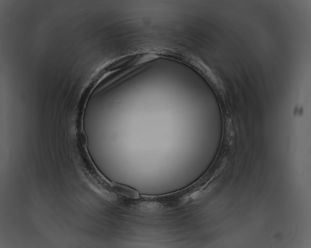 X0000090950203200708241137