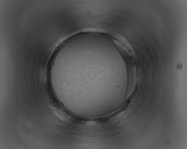 X0000090950204200708241137