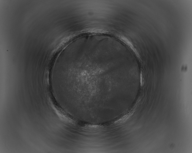 X0000090950205200708241137