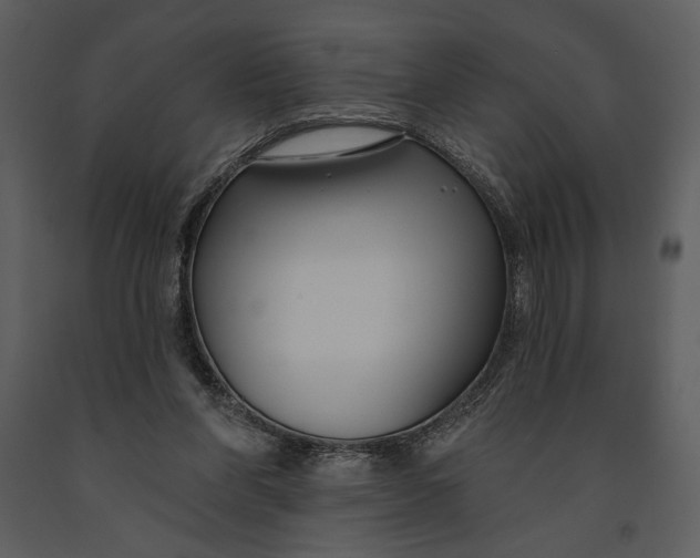 X0000090950206200708241137